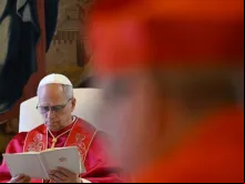Papa Leão XIV, em consistório público que celebrou hoje (13).