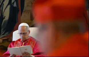 Papa Leão XIV, em consistório público que celebrou hoje (13).